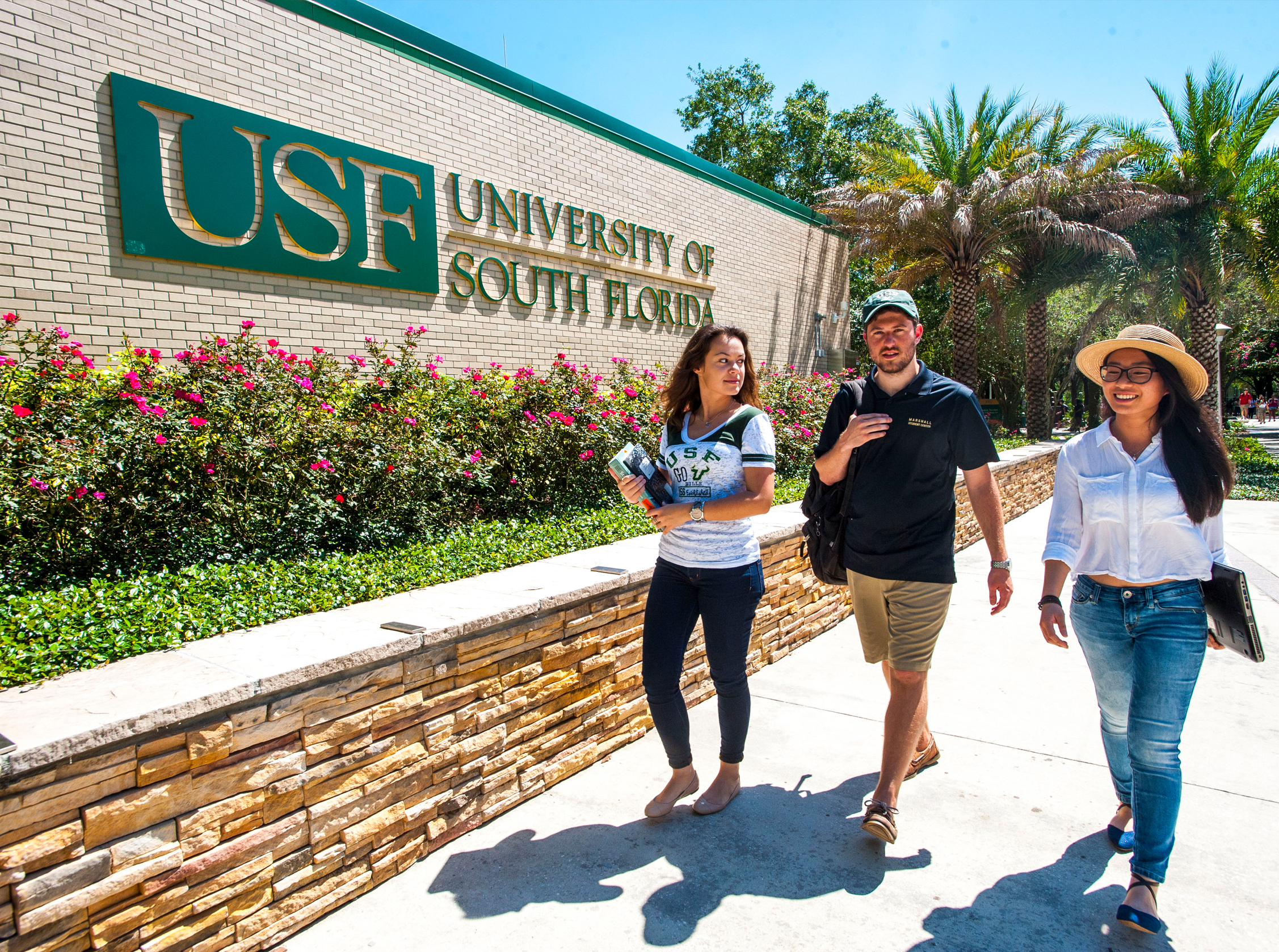 Why Choose USF?