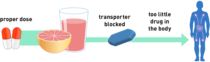 Grapefruit Juice Drug Under-dose Info-graphic (800x237)